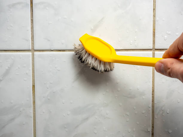 Best Office Mold Removal Services  in Talpa, NM