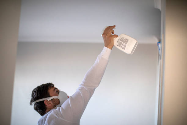 Best Home Mold Removal  in Talpa, NM